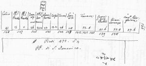 Immagine tratta dagli schizzi topografici disegnati da Giuseppe Guidicini a corredo delle note manoscritte delle "Cose Notabili ..." e pubblicati per la prima volta da Arnaldo Forni nel 2000.