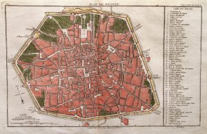 Pianta 1769
