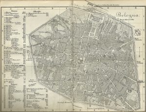 Pianta 1877