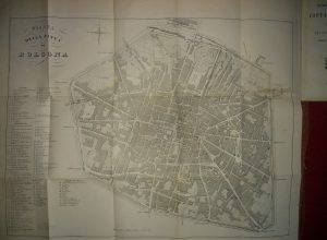 Pianta 1881