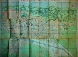 Pianta 1953