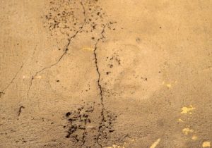 Sotto alla mano di tempera si legge chiaramente il numero 72
