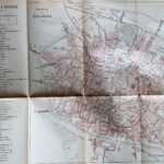 Pianta 1889