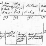 Sopra: case dal numero antico 591 (attuale 12) al 597 (attuale 20, il Collegio Fiammingo o Collegio Jacobs). Il Nord è verso sinistra. Sotto particolare del numero 592, secondo le proprietà risultanti da rogiti del 1522 e 1538. Immagine tratta dagli schizzi topografici disegnati da Giuseppe Guidicini a corredo delle note manoscritte delle "Cose Notabili ..." e pubblicati per la prima volta da Arnaldo Forni nel 2000.