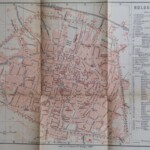 Pianta 1886