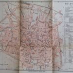 Pianta 1886