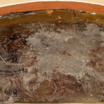 Arco 179: il Miracolo di Sant'Egidio