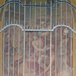 Terzo Mistero Doloroso (Arco 471)