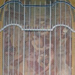 Terzo Mistero Doloroso (Arco 471)