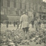 I tempi sono cambiati: un tempo il comune provvedeva a dare da mangiare ai piccioni.